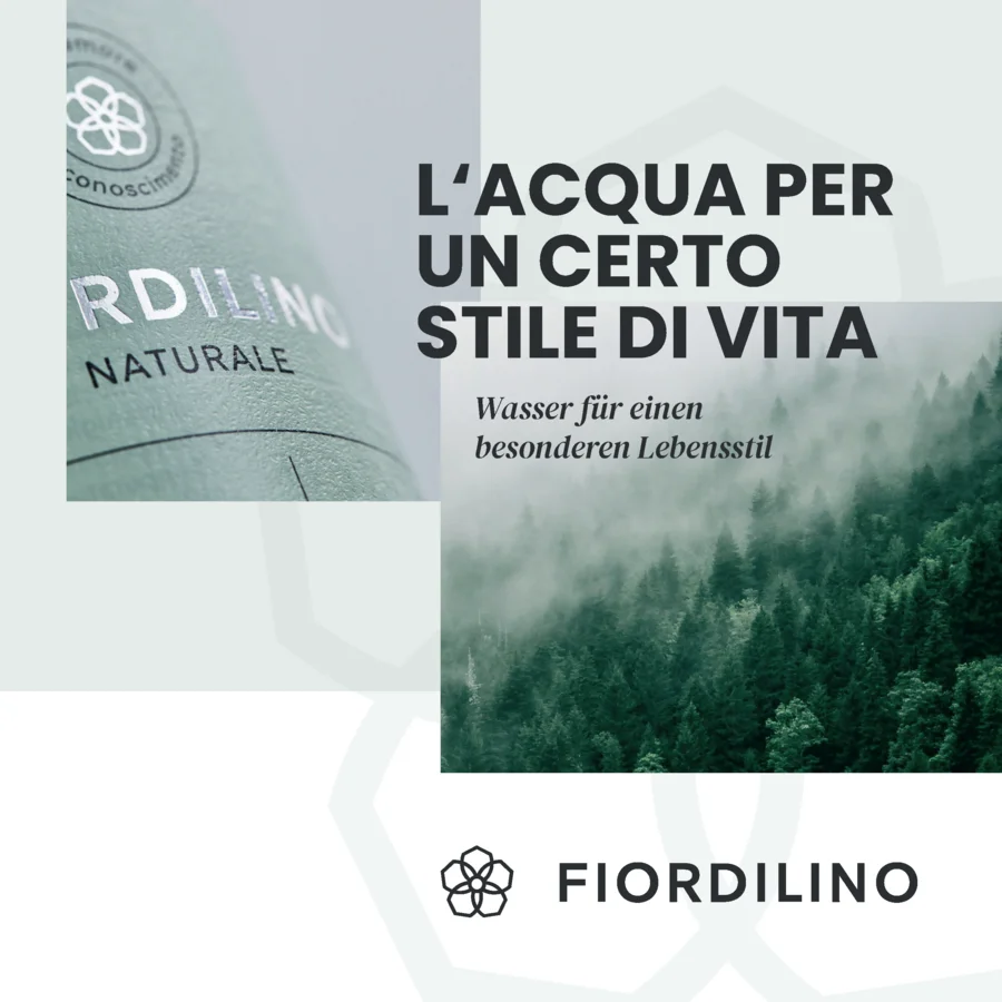 Scheibel Blackcurrant|Getränke Weidlich ThekenTicker Oktober 2025