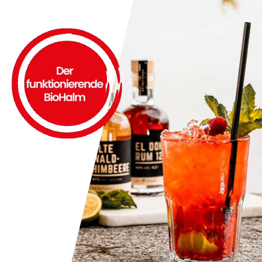 Estrella Damm | Getränke Weidlich #01|2026