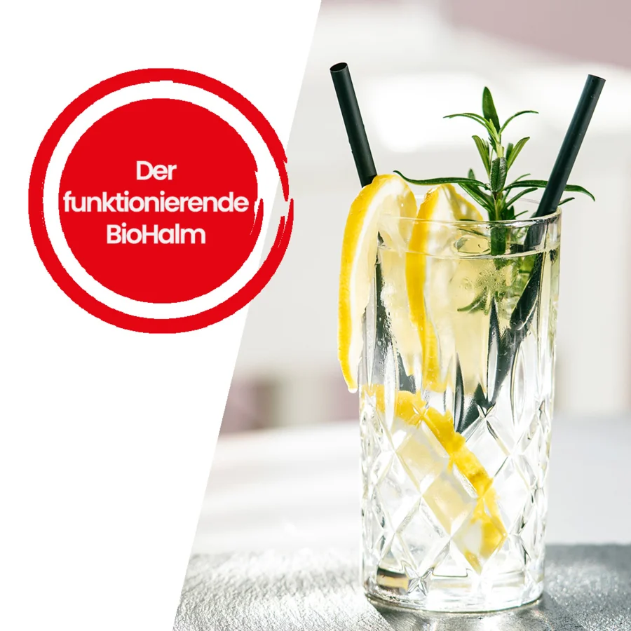 Estrella Damm | Getränke Weidlich #01|2026